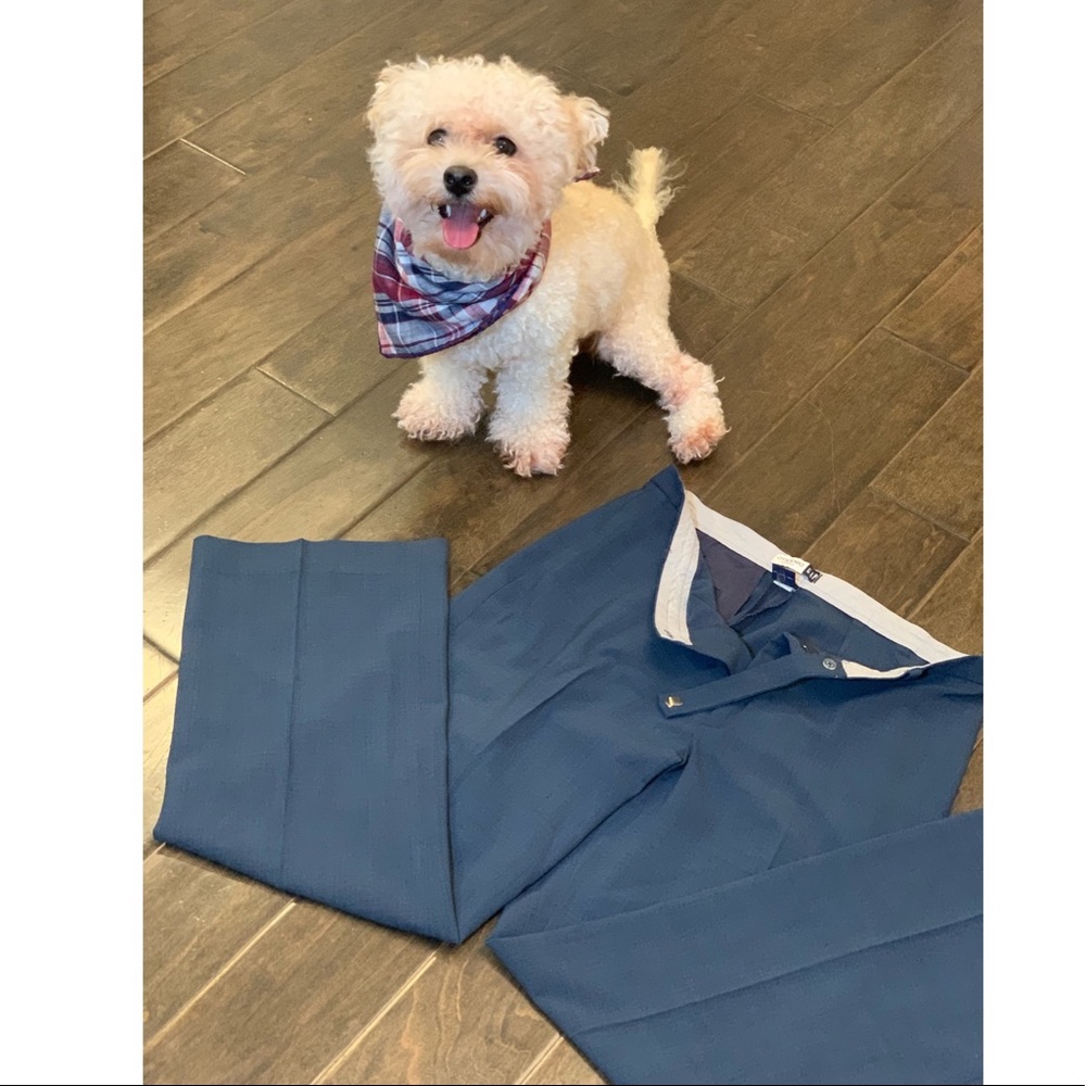 GAP cropped stretch slacks👖